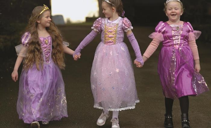 Have you ever dreamt of becoming a Princess? Explore the Castle and meet well known princesses as you learn how to become a Princess!